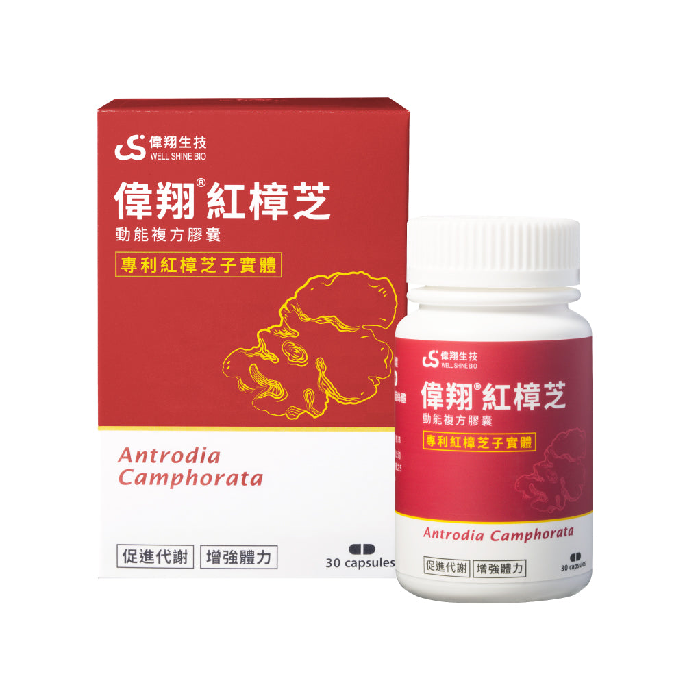 Antrodia Camphorata Compound Capsules - 30 Capsules| Well Shine