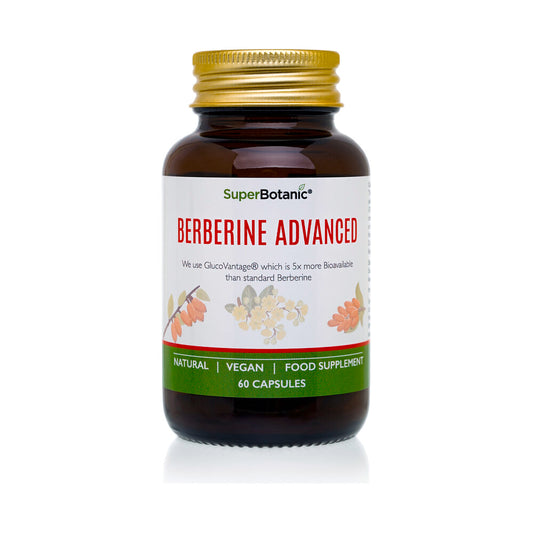 Berberine Advanced - 60カプセル | Super Botanic